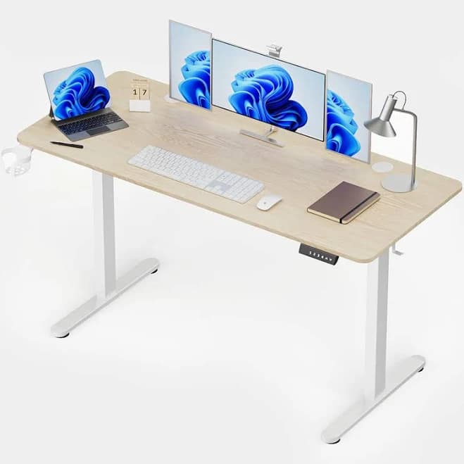 MotionGrey Ergo2 Adjustable Electric Standing Desk