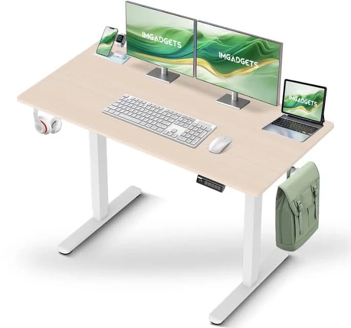 IMGadgets Standing Electric Adjustable Desk
