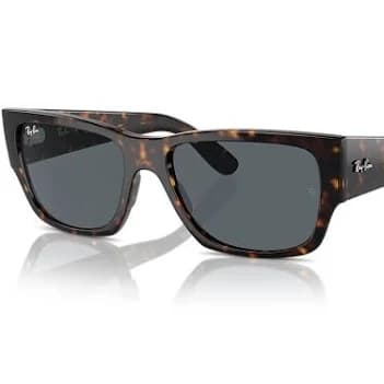 Ray-Ban Carlos Sunglasses