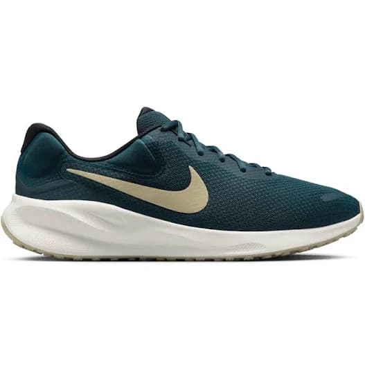 Nike Men's Revolution 7 Running
